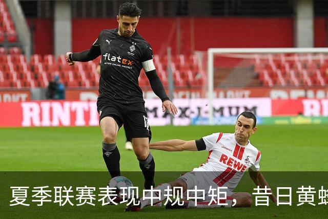 夏季联赛表现中规中矩，昔日黄蜂6号秀新赛季能否重返轮换阵容？